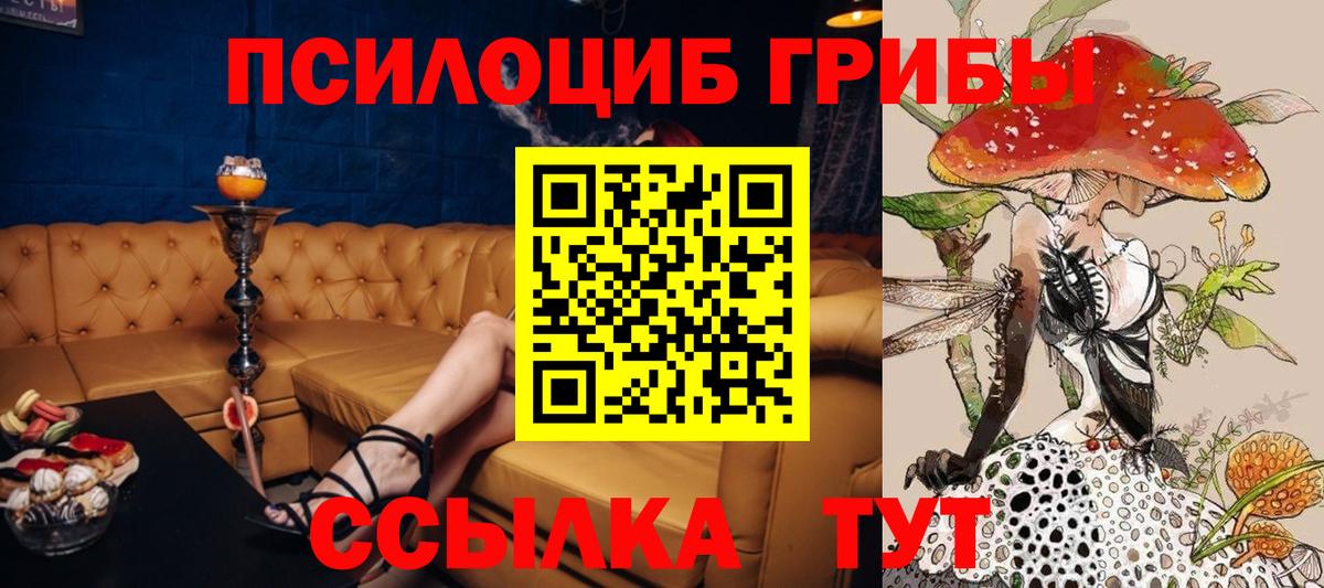 Нижний Новгород  цены наркотик  Вход с VPN  Галлюциногенные грибы MAGIC MUSHROOMS  Псилоцибиновые грибы Cubensis 