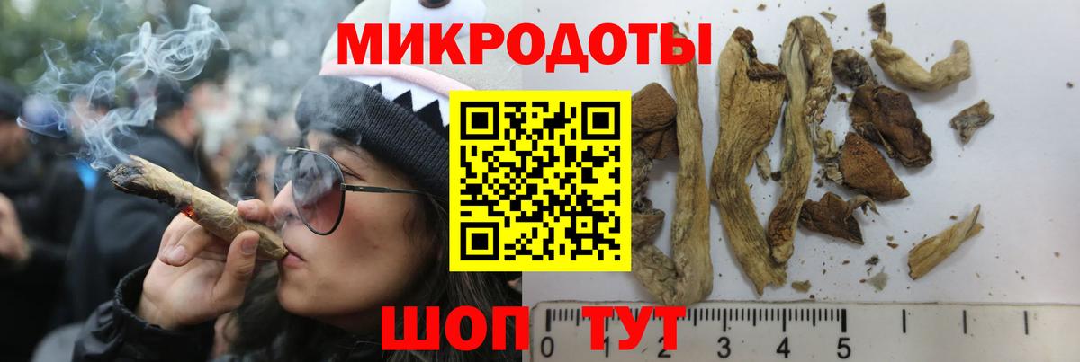 Галлюциногенные грибы MAGIC MUSHROOMS Нижний Новгород
